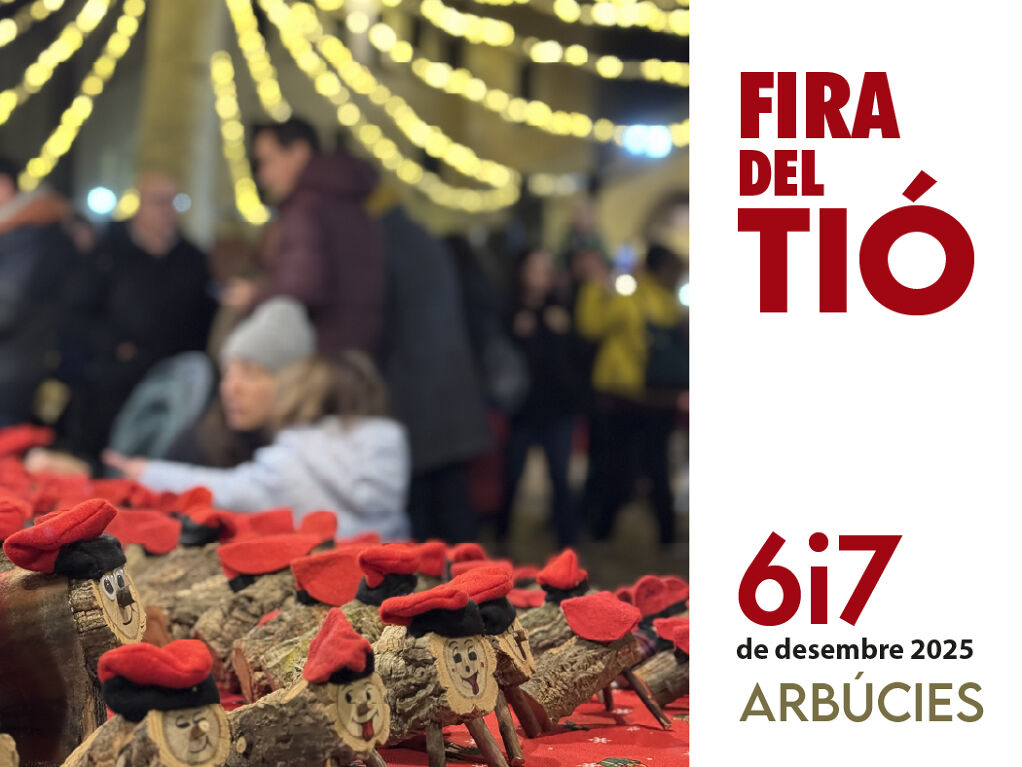 Fira del Tió - 1050x788-100.jpg