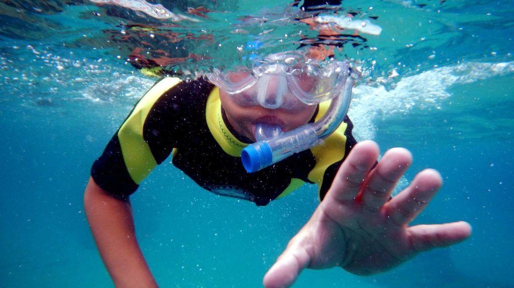 Sortida guiada d'snorkel - 4c0f8-snorkel--4-.jpeg