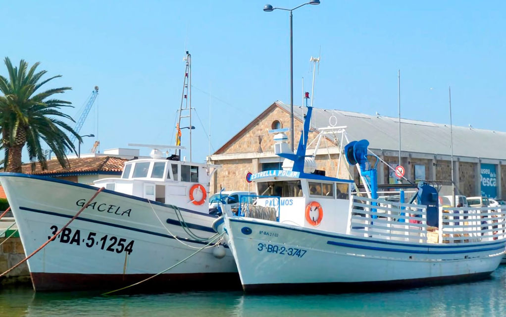 Setmana Santa a Palamós - barques-peix-100.jpeg