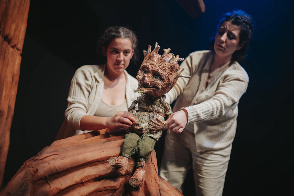 Cap a Mirmanda (o l'últim nas de l'any) - captura-de-pantalla-2025-12-10-a-les-0.15.26.png