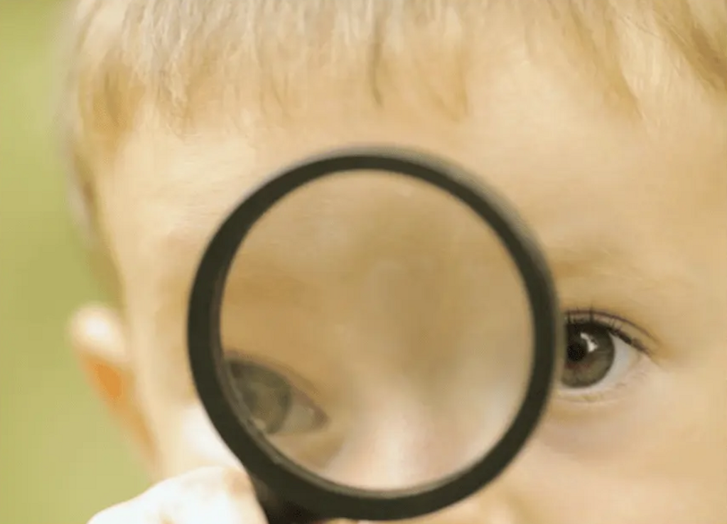 Petits naturalistes: descobrim el nostre entorn - captura-de-pantalla-2026-04-09-a-les-12.05.23.png