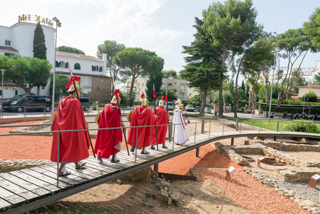 DO Porcianus  - dsc_0538.jpg
