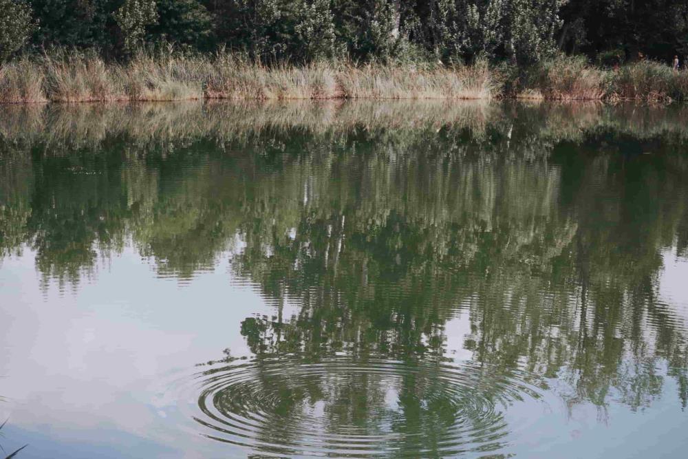 Ecoaventura aquàtica - econatura-banyoles--1-.jpg