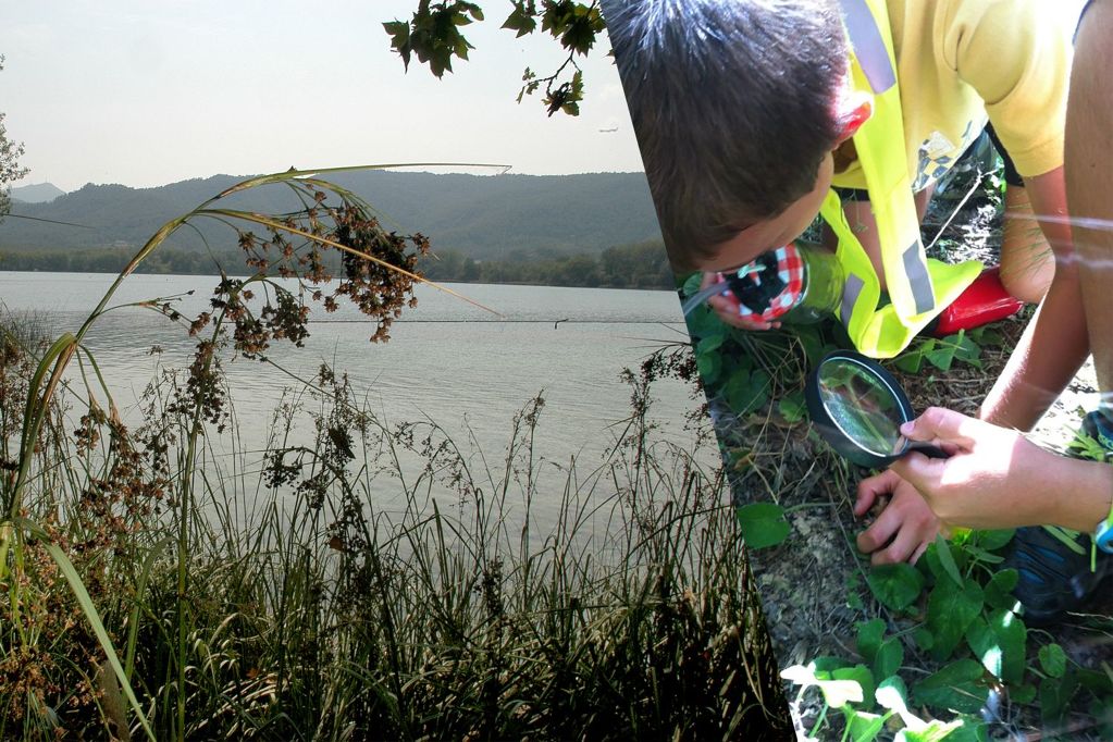 Exploradors de l'Estany - exploradorsdelestany_gran_3_1.jpg-1500x1000.jpg