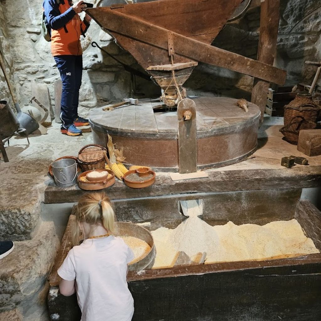 Descobreix el que menges - foto.jpeg