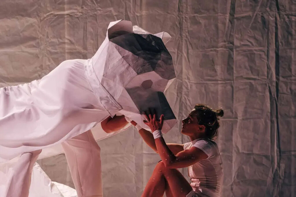 Nanuq - nanuq.webp-1200x800.jpg