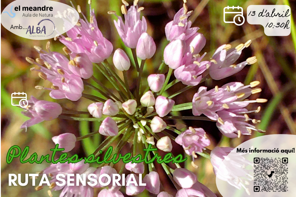 Ruta sensorial per descobrir les plantes silvestres - ruta_sensorial_mg--1-.png