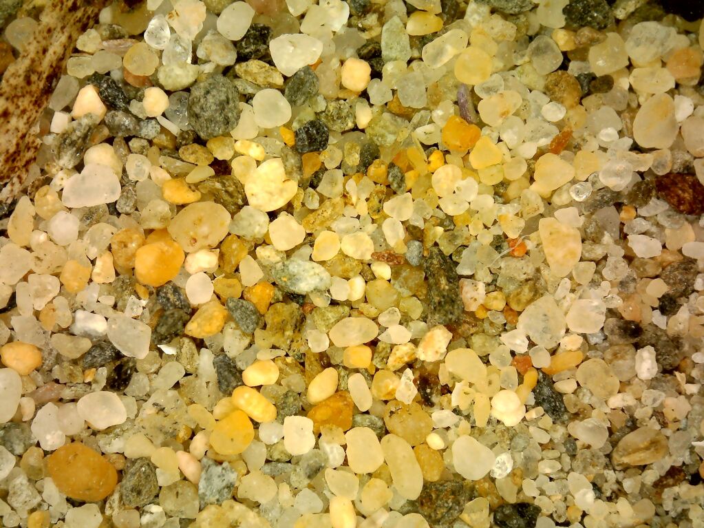 Què s’amaga dins d’un gra de sorra? - taller-familiar-sorra.jpg