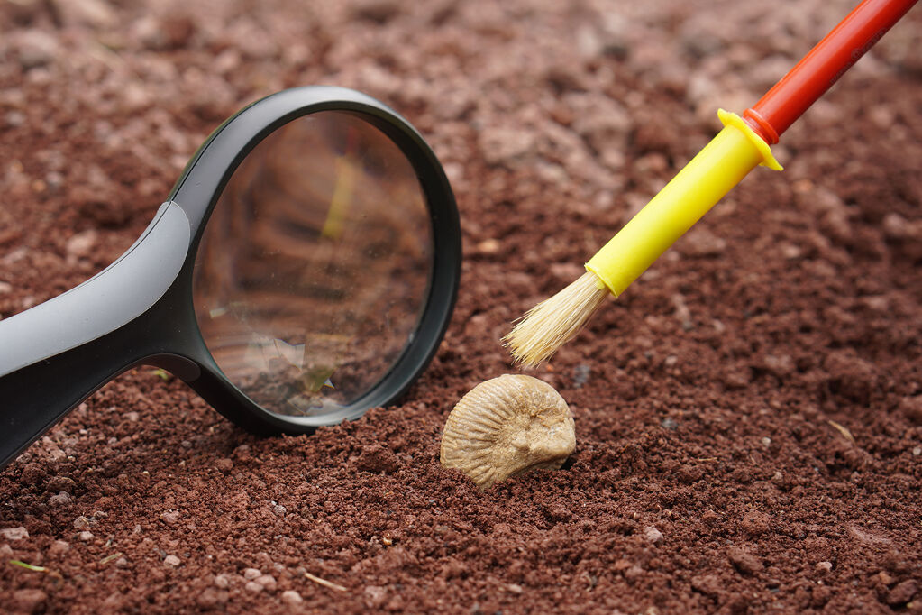 A la cacera dels fòssils!  - taller-familiar_a-la-cacera-de-fossils--4--b.jpg