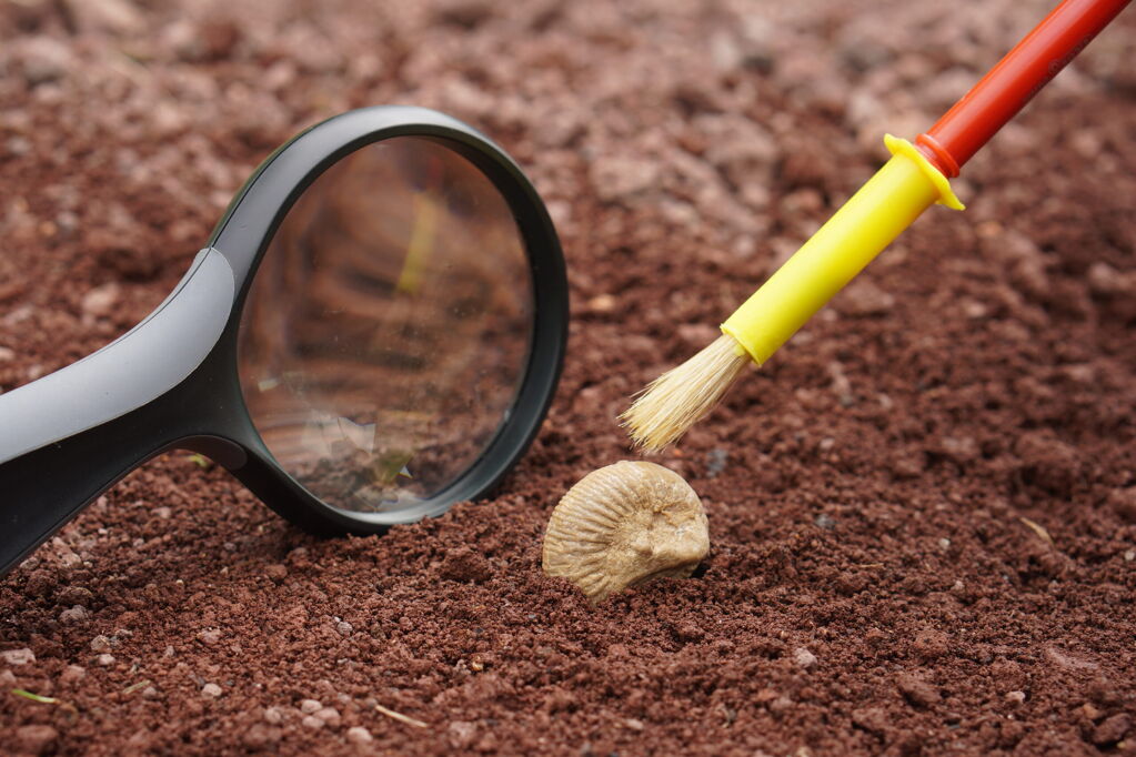 A la cacera dels fòssils! - taller-familiar_a-la-cacera-de-fossils-4.jpg