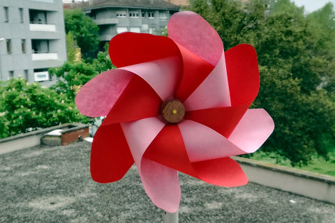 La Rosa molinet