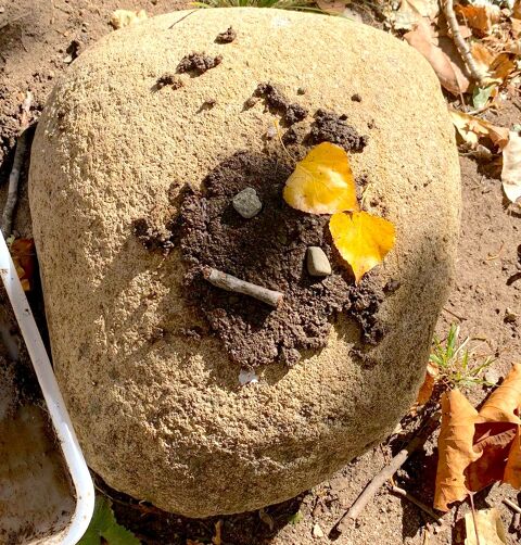 Petits artistes: land-art familia - 2023-11-12-at-15.16.53_monstres_web.jpeg