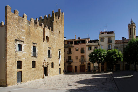 Castell Palau