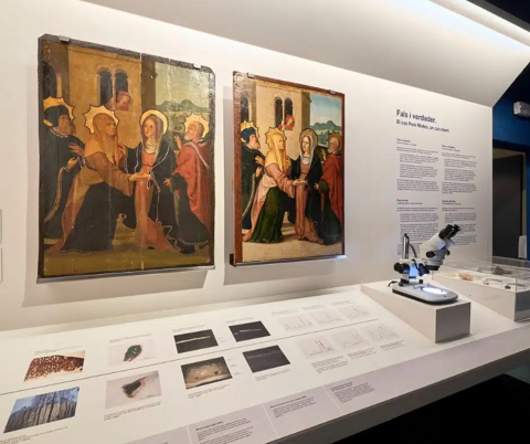 Art i ciència: falsificacions al Museu