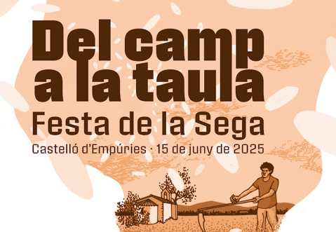 Festa de la Sega - captura-de-pantalla-2025-06-11-a-les-23.52.12.png