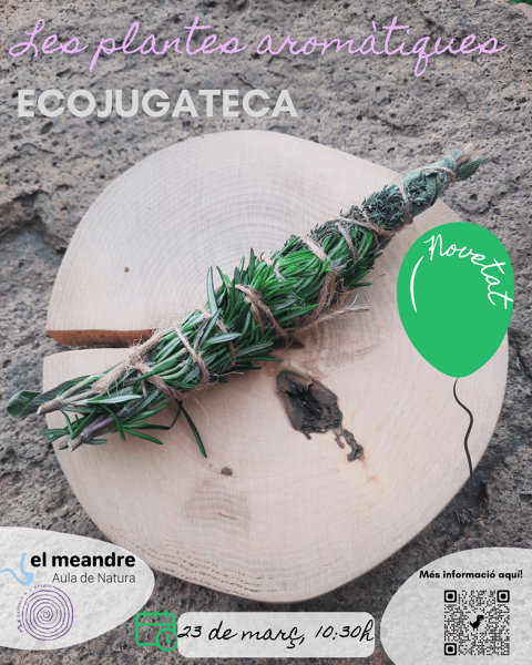 Ecojugateca: les plantes aromàtiques - ecojugateca_4_5.png