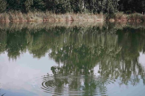 Ecoaventura aquàtica - econatura-banyoles--1-.jpg