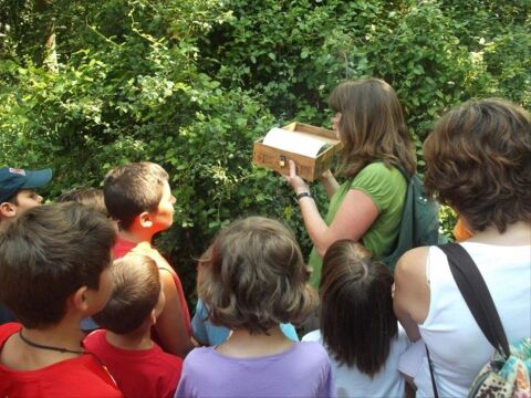 L'enigma del bosc de les goges - enigma-bosc-goges-banyoles.jpg