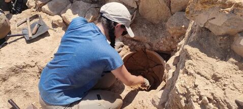 Jornades Europees d'Arqueologia - excavo_1_backgroundimage.jpg