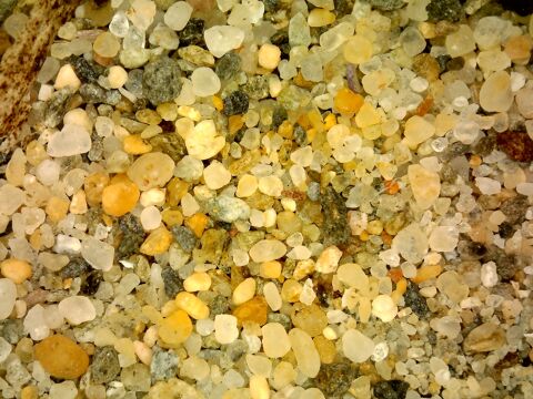 Què s’amaga dins d’un gra de sorra? - taller-familiar-sorra.jpg