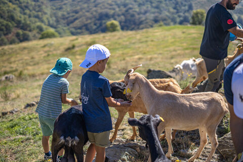 Descobreix la masia i dina amb nosaltres