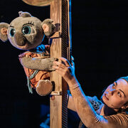 Bunji, la petita coala