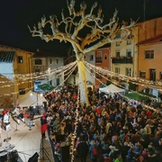 Fira del Tió - 1701540812075-01.jpeg