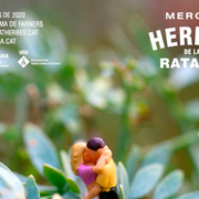 Mercat de les Herbes - 1907b-00-mercat-herves-2020.jpg