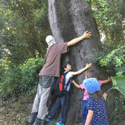 Topofília - 2026-05-13-at-13.47.14-4_abrazaarboles.jpeg