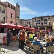 Sant Jordi a Torroella i L'Estartit - 230423_santjordi_dianajulia----2-.jpeg