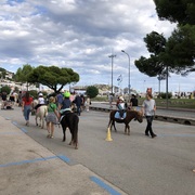 Pirates i Corsaris a les Illes Medes - 230923_piratesicorsaris_zonainfantil_xmt--3-_i2284.JPEG