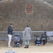 Fira de Sant Andreu - 231126_firastandreu_animals_xmt--7-.JPG