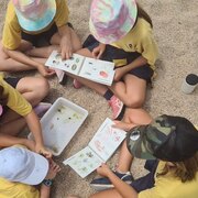 Taller de Biologia Marina - 285290735_583841419704974_4291918261642703666_n-1d528_i124_i145.jpg