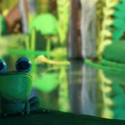 El meu Primer Festival de Cinema - 3_ronny.jpg