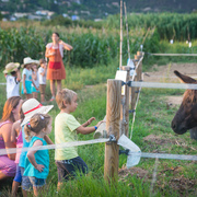 Visites familiars - 4.-vg-anem-a-la-granja.jpg