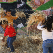 Infanteria! El festival de la petita infància - 4.png