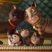 El gat Tabby - 5-1180x885.jpeg
