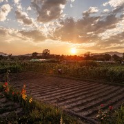 Descobreix les Hortes de Santa Eugènia! - 654980263_18568408876044907_6030267338229066802_n-7029d.jpg