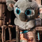 Bunji, la petita coala - 7357_01.22_bunji_web.jpg-1500x1000.jpg