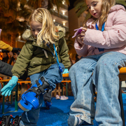 Viu un Nadal màgic a Lloret de Mar - _dsc0277-copia.jpg