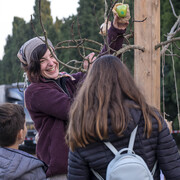 Fira de Sant Andreu 2025 - activitatsfamiliars.jpg