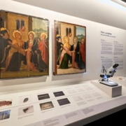 Art i ciència: falsificacions al Museu