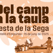 Festa de la Sega