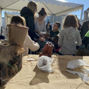 Els Museus surten al carrer