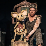 Bunji, la petita coala