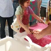 Crea amb el paper amb TEAcompanyEM