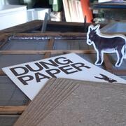 Crea paper amb fems de ruc