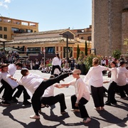 Flors i Violes Palafrugell - dansa.jpg