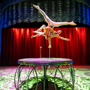 Festival Internacional del Circ Elefant d’Or - duo-vibraz---ma---a-ma------brasil_baixa.jpg