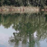 Ecoaventura aquàtica